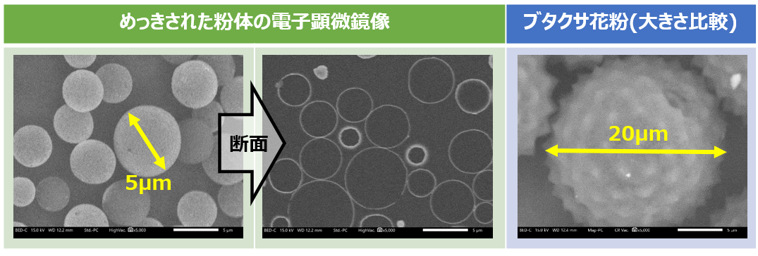 粉体の表面・断面SEM画像